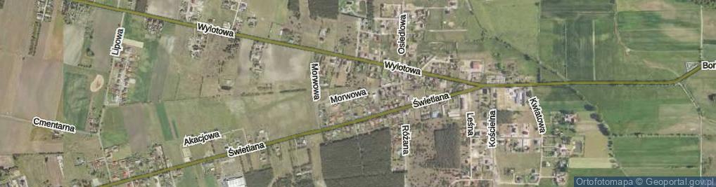 Zdjęcie satelitarne Morwowa ul.